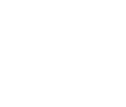 zwass-logo-negativo